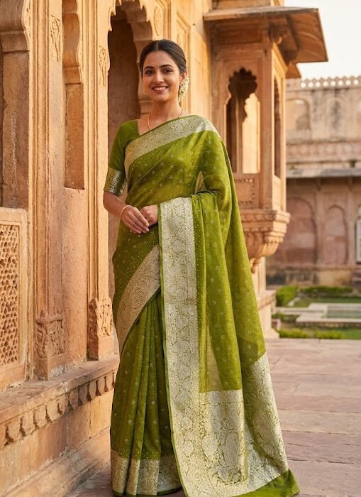 Green Organza Zari Stone Work Designer Saree