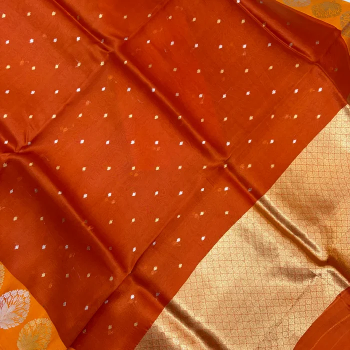 Rust Orange Organza Banarasi Zari Border Saree