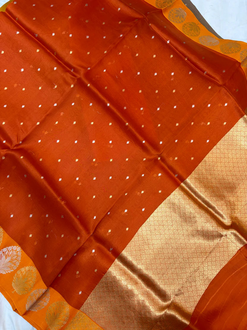 rust-orange-organza-banarasi-zari-border-saree